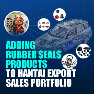 Adding-Rubber-Seals-Products-to-HANTAI-Export-Sales-Portfolio-2